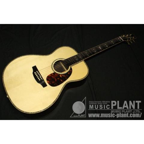 Takamine-アコースティックギターCustom Order Model