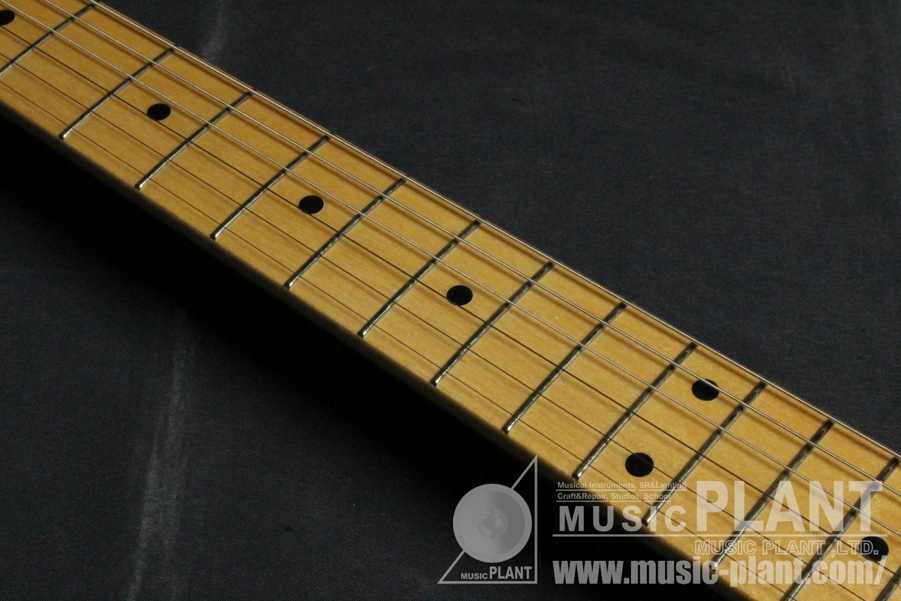 Made in Japan Traditional 50s Telecaster Left-Handed Butterscotch Blonde追加画像