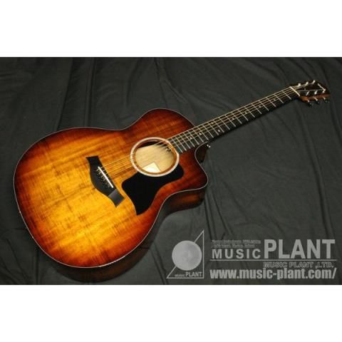 Taylor-エレクトリックアコースティックギター224ce Koa DLX