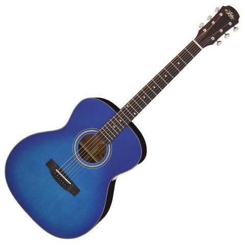 Aria-アコースティックギターAria-201 BLS