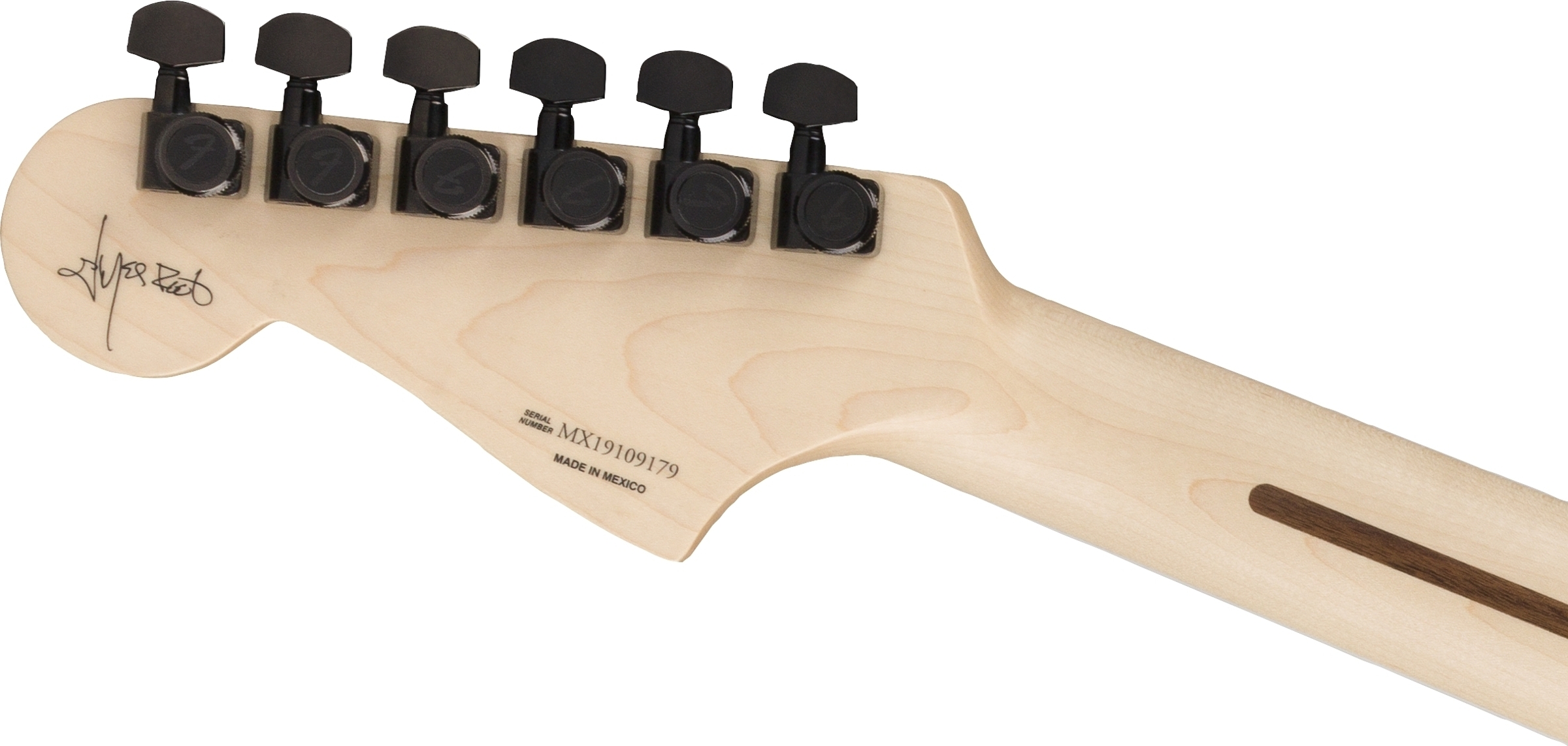 Jim Root Jazzmaster V4 追加画像 Jim Root Jazzmaster V4 追加画像