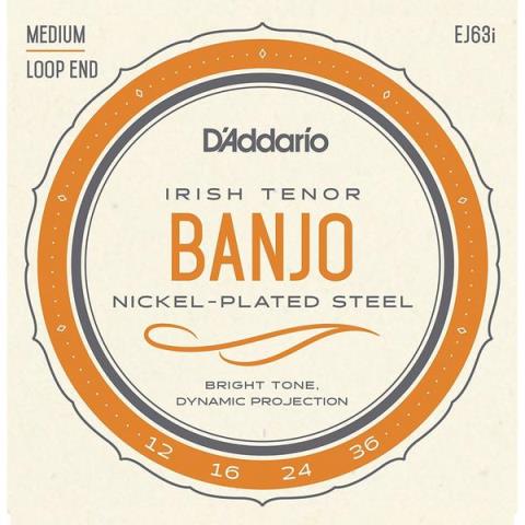 D'Addario-バンジョー弦EJ63i Irish Tenor Banjo, Nickel Plated 12-36