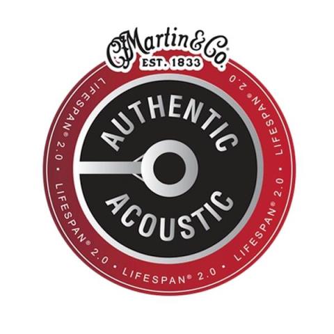 Martin (C.F.Martin)MA540T Light 12-54