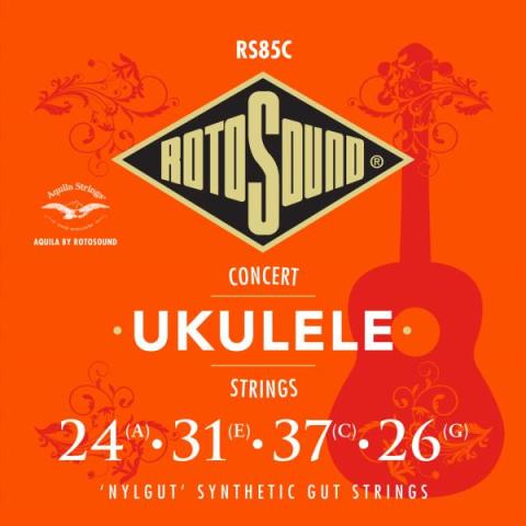 ROTOSOUND

RS85C