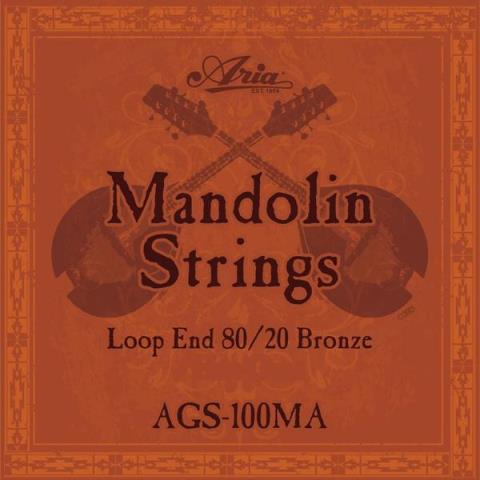 AGS-100MA Mandolin 80/20 Bronze Loop-Endサムネイル