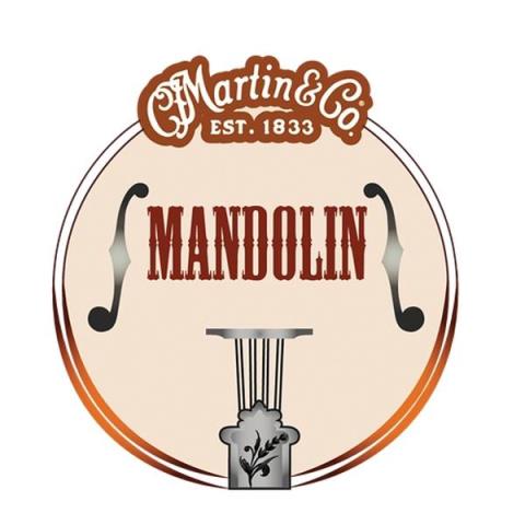 Martin (C.F.Martin)-マンドリンモネル弦M465 Mandolin Medium