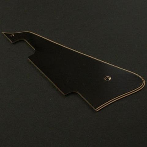 448 54 LPC pickguard relicサムネイル