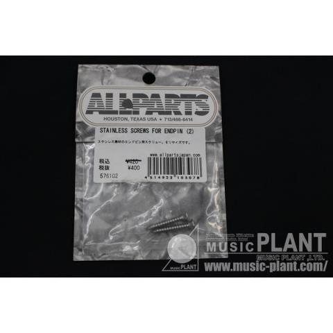 ALLPARTS

STAINLESS SCREWS FOR ENDPIN(2)