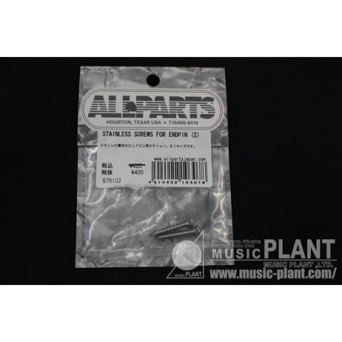 ALLPARTS

STAINLESS SCREWS FOR ENDPIN(2)