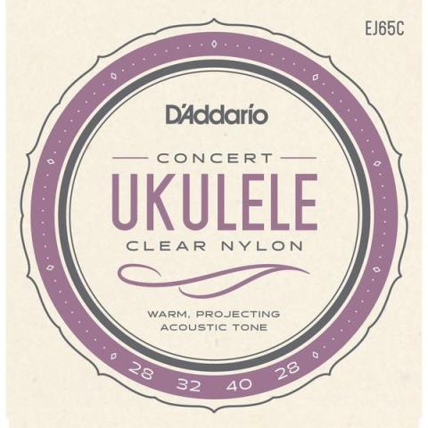 D'AddarioEJ65C Concert 28-40.3