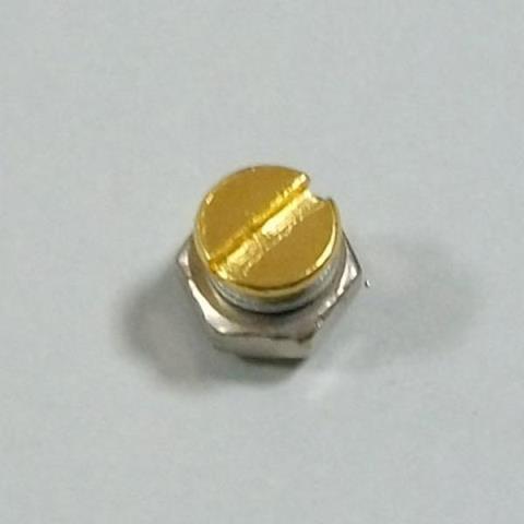 8446 Inch LP PG screw (minus) Goldサムネイル