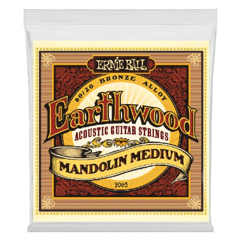 ERNIE BALL-マンドリン弦2065 Earthwood Mandolin Medium Loop End 80/20 10-36