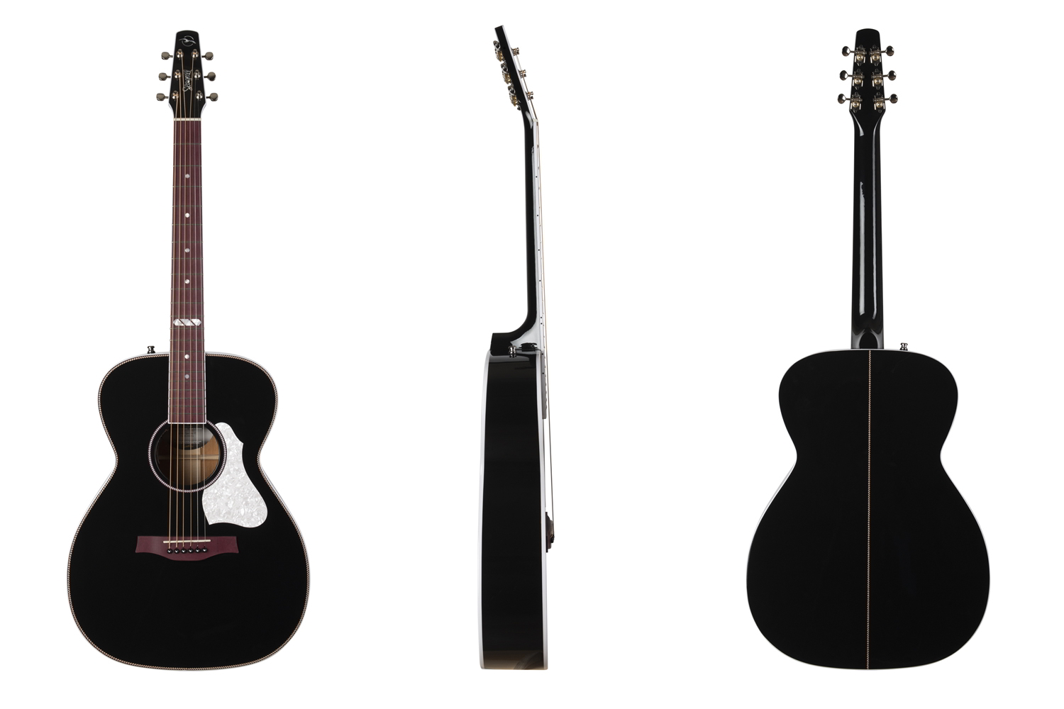 Artist Limited Tuxedo Black EQ背面画像 Artist Limited Tuxedo Black EQ背面画像