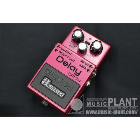 DM-2Wサムネイル