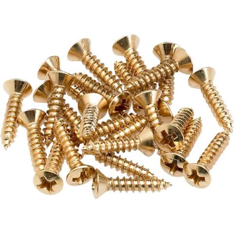 Fender-ネジPickguard/Control Plate Mounting Screws (24) (Gold)