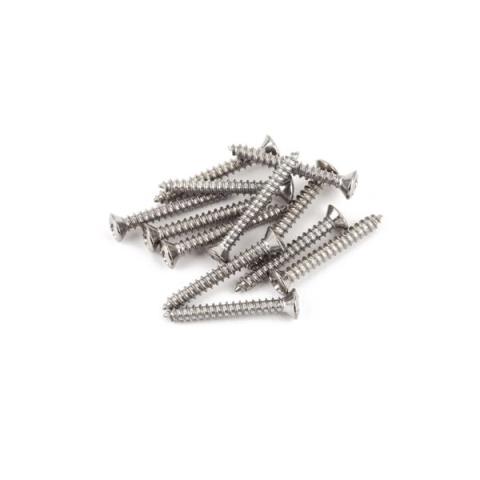 Fender-ネジBass/Telecaster Bridge/Strap Button Mounting Screws, Phillips-Head, Chrome, (12)