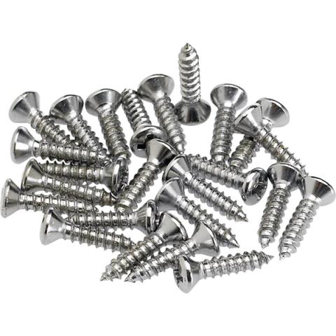 Fender-ネジPickguard/Control Plate Mounting Screws (24) (Chrome)