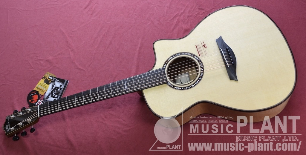 MAYSON ESM50 CE メイソン アコギ エレアコ わたせる ギグケース付