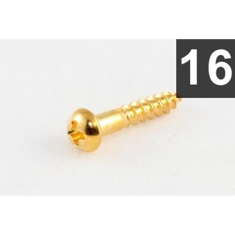 ALLPARTS-ネジ(スクリュー)GS-0006-002 Pack of 16 Long Gold Machine Head Screws