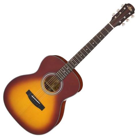 Aria-アコースティックギター
Aria-201 TS