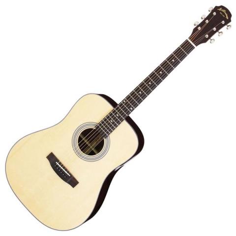 Aria-アコースティックギターAD-215 N