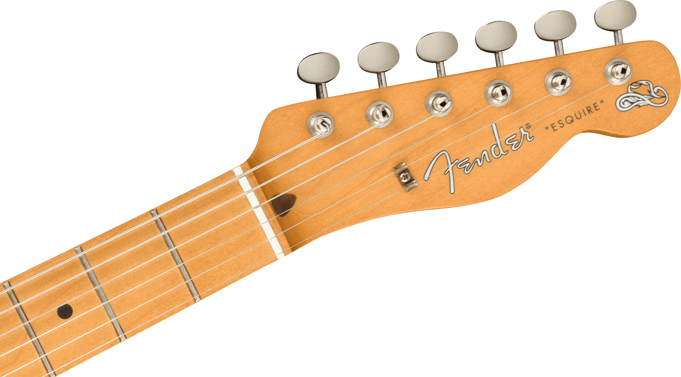 Brad Paisley Esquire, Maple, Black Sparkle追加画像 Brad Paisley Esquire, Maple, Black Sparkle追加画像