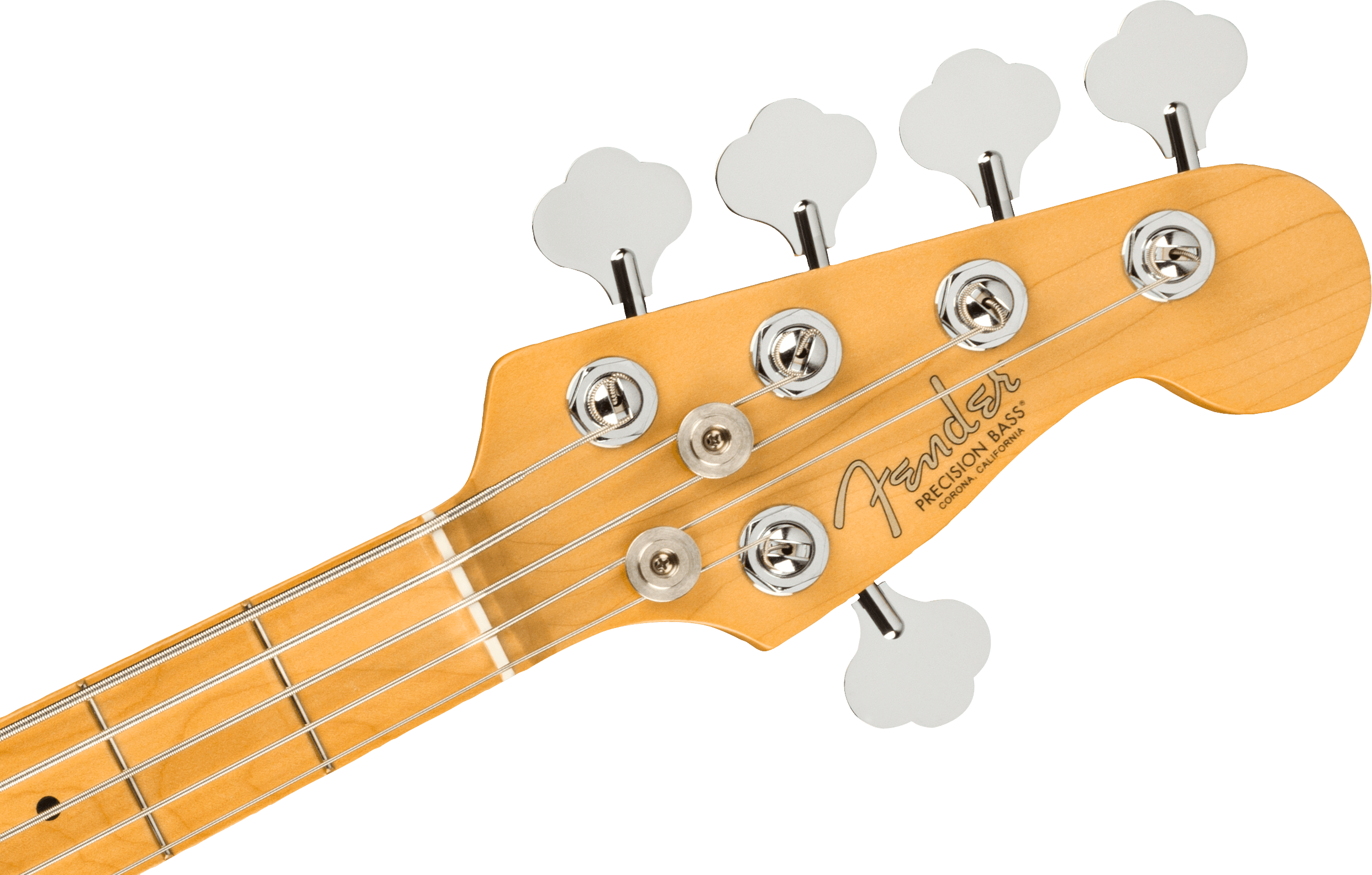 American Professional II Precision Bass V, Maple Fingerboard, Dark Night追加画像 American Professional II Precision Bass V, Maple Fingerboard, Dark Night追加画像