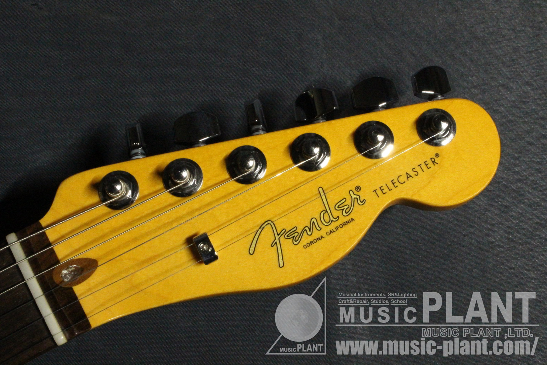 American Professional II Telecaster Rosewood Fingerboard, Dark Nightヘッド画像 American Professional II Telecaster Rosewood Fingerboard, Dark Nightヘッド画像