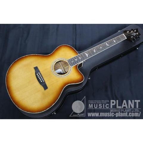 SE ACOUSTIC A40E TSサムネイル