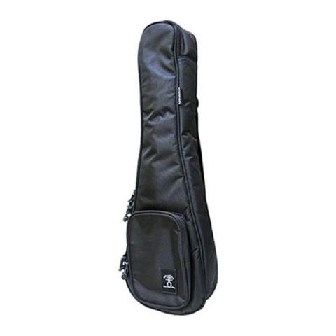 aNueNueaNN-GIG UC/CON