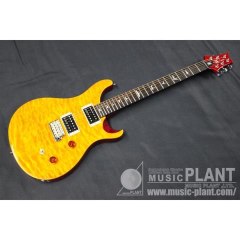 Paul Reed Smith (PRS)-エレキギター
SE Custom 24 VY