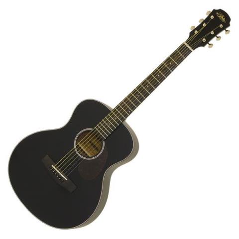 Aria-アコースティックギターAria-151 MTBK
