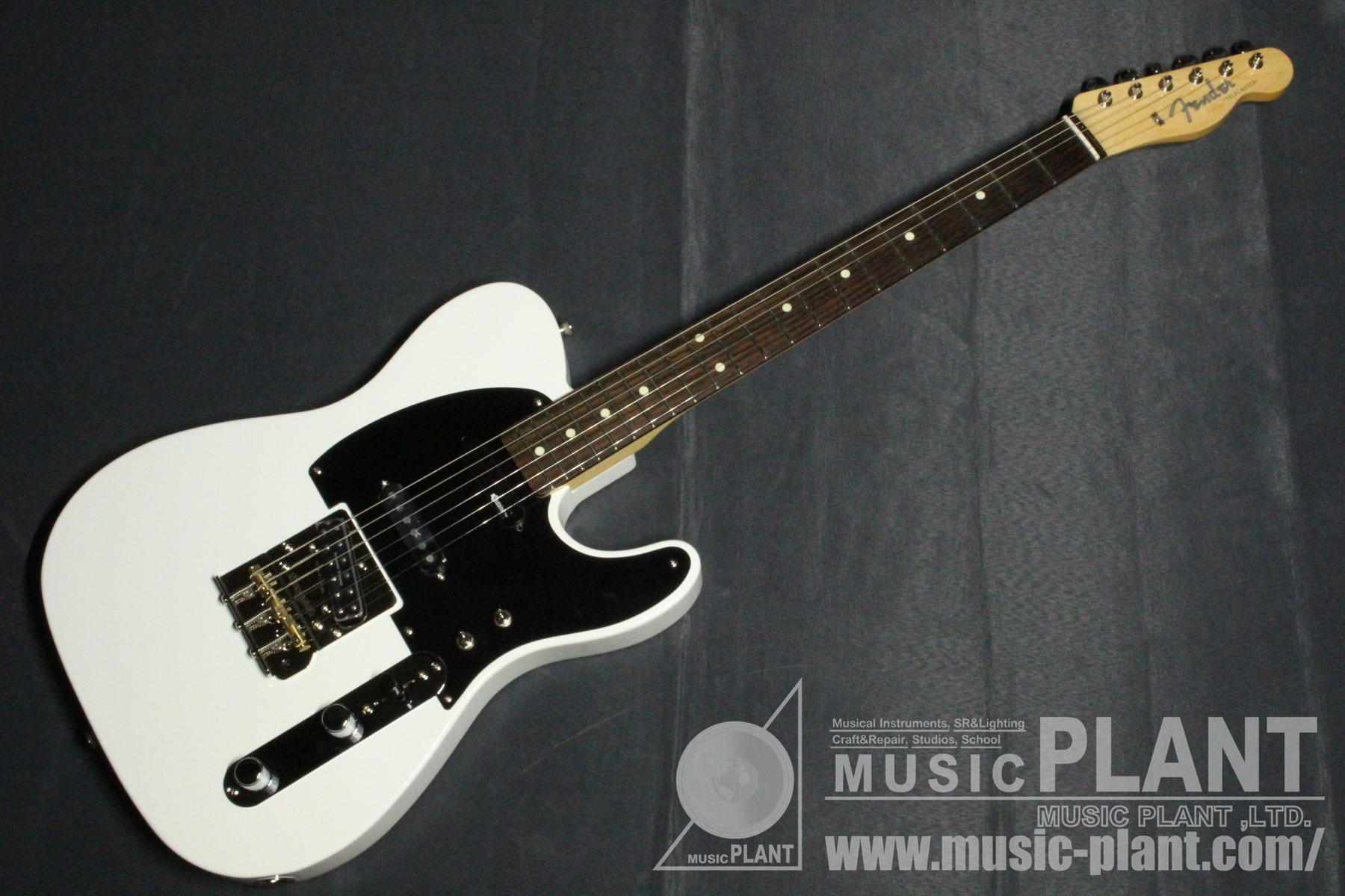 送料＆加工料込 Fender MIYAVI TELECASTER+fenderディスプレイケース 