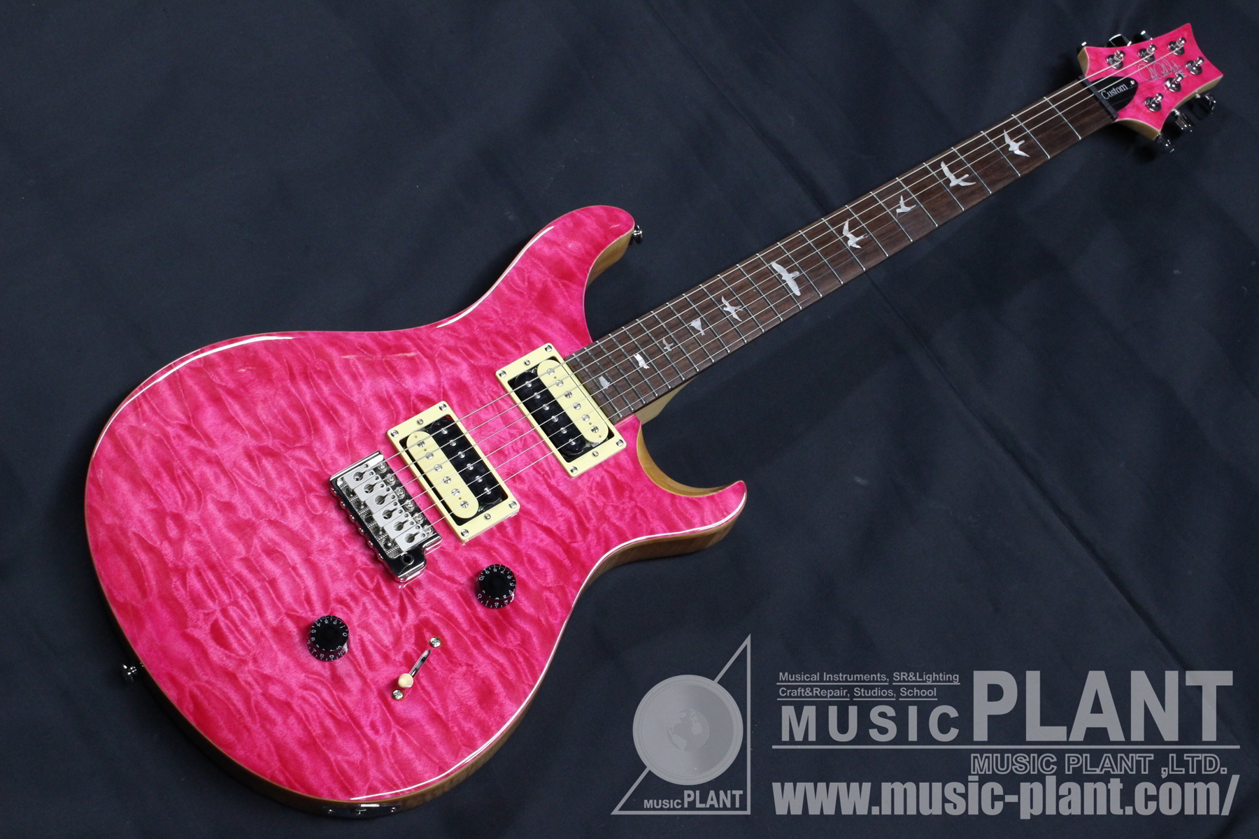 PRS SE Custam風の綺麗なギター