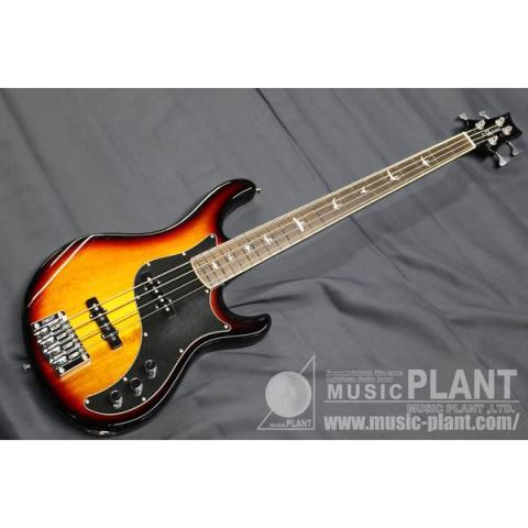 SE Kestrel Tri-Color Sunburstサムネイル