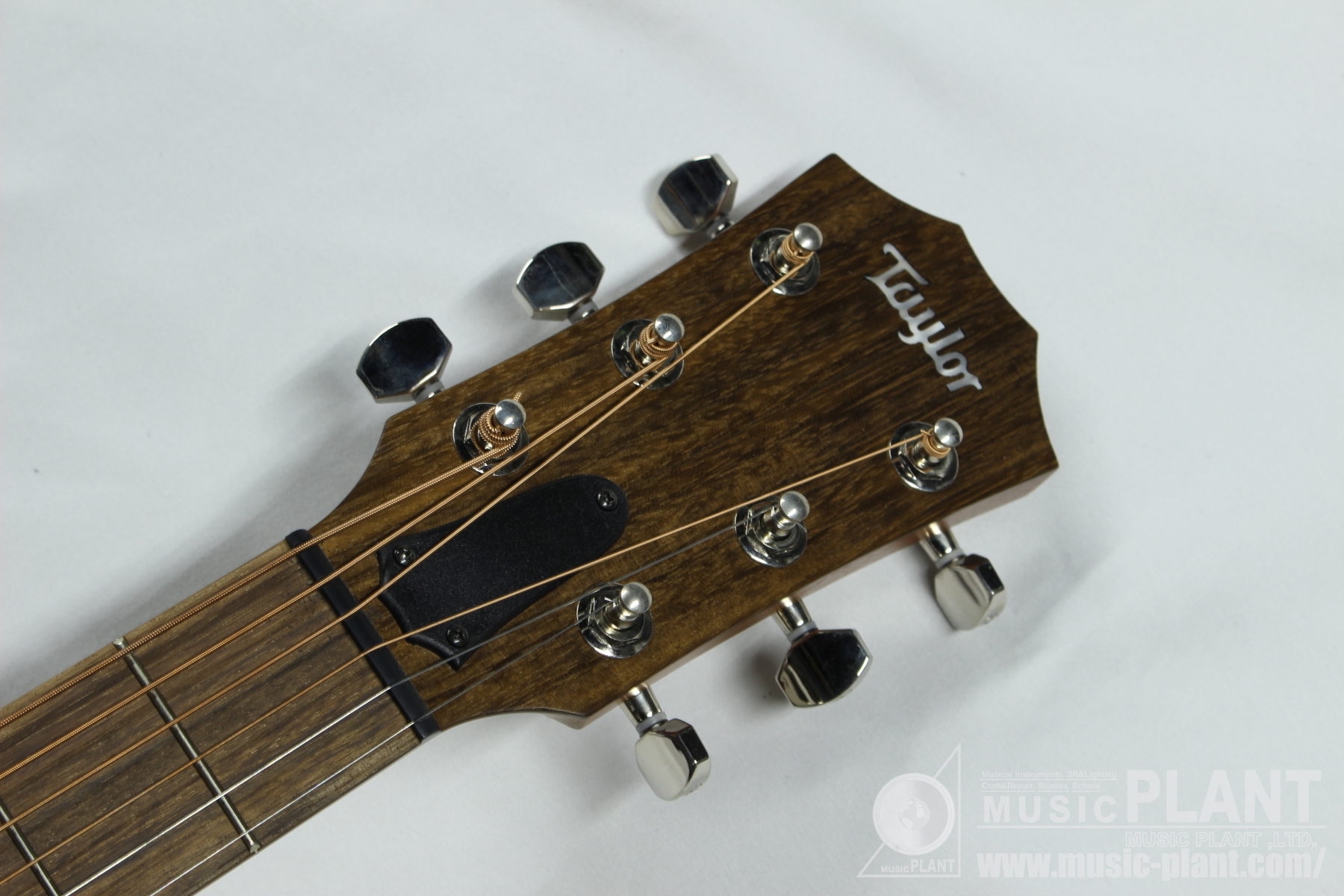 GTe Urban Ashヘッド画像 GTe Urban Ashヘッド画像