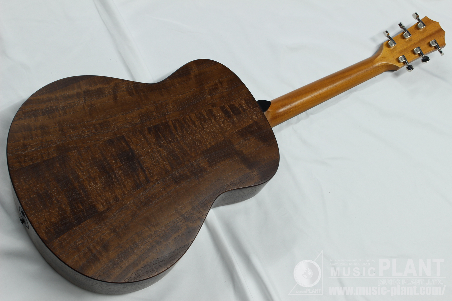 GTe Urban Ash背面画像 GTe Urban Ash背面画像