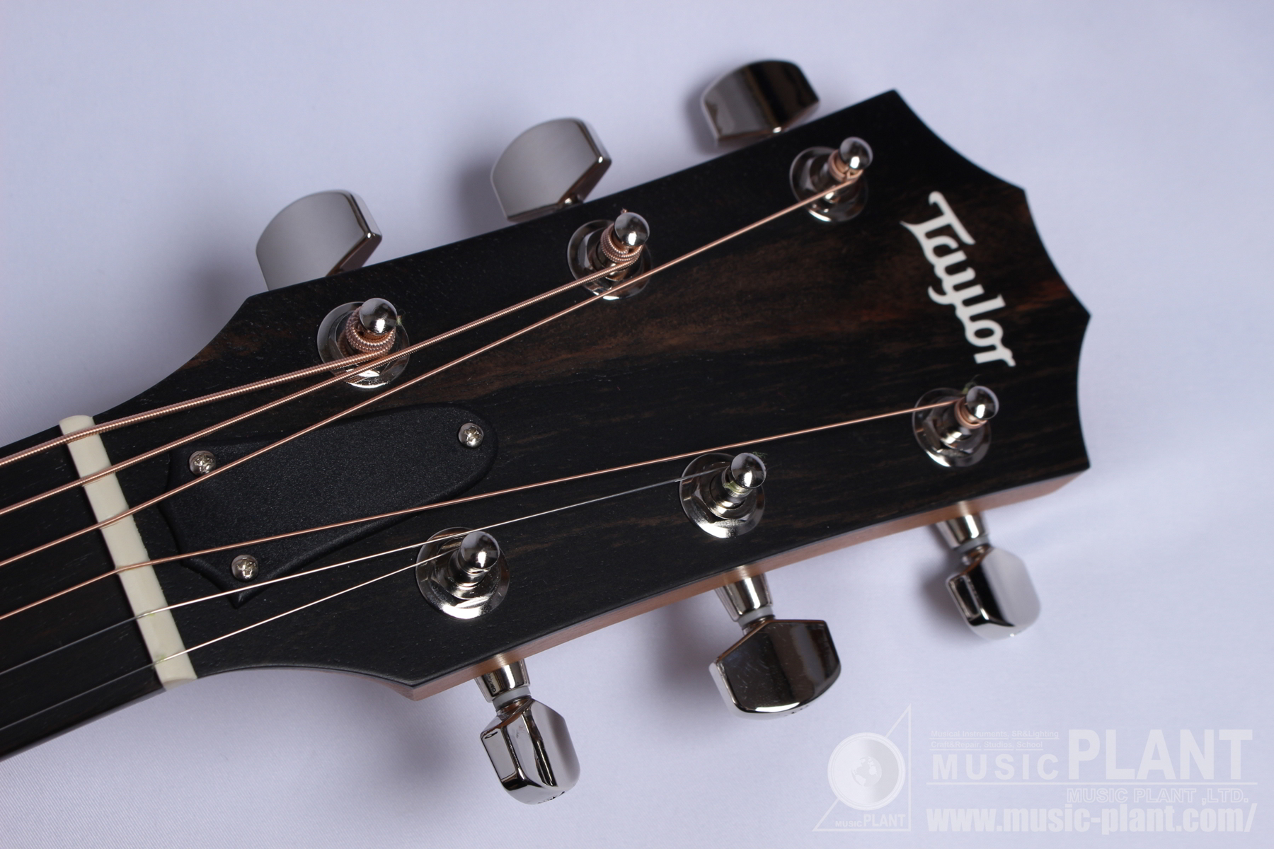 214ce Rosewood Plusヘッド画像 214ce Rosewood Plusヘッド画像