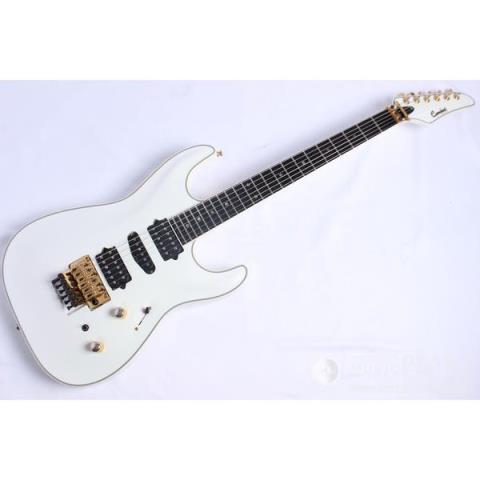 Custom Order Stratocaster Typeサムネイル