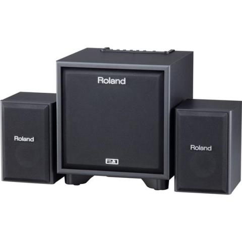 Roland-CUBE MonitorCM-110 Black