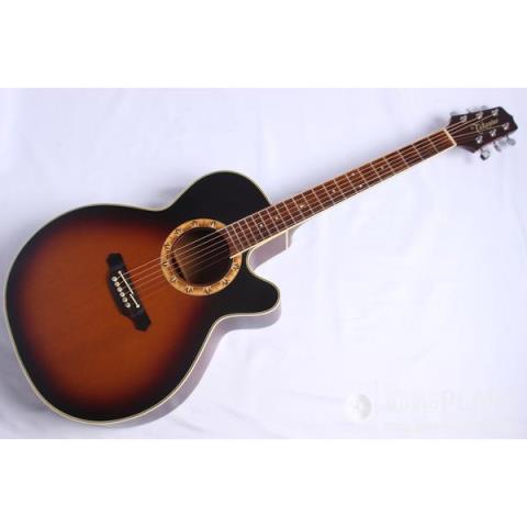 Takamine-エレクトリックアコースティックギター
NPT-510