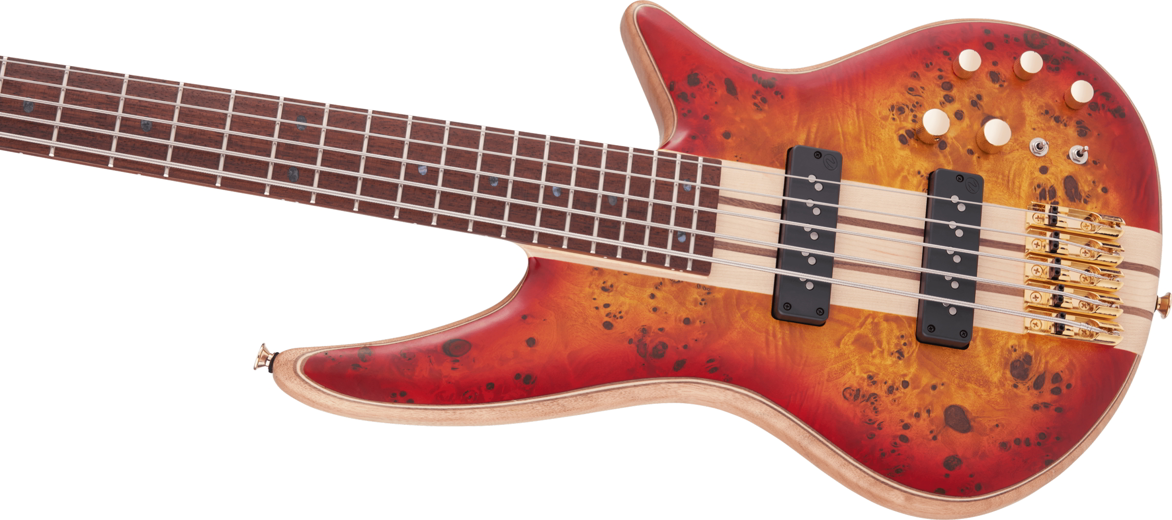Pro Series Spectra Bass SBP V, Caramelized Jatoba Fingerboard, Transparent Cherry Burst追加画像 Pro Series Spectra Bass SBP V, Caramelized Jatoba Fingerboard, Transparent Cherry Burst追加画像