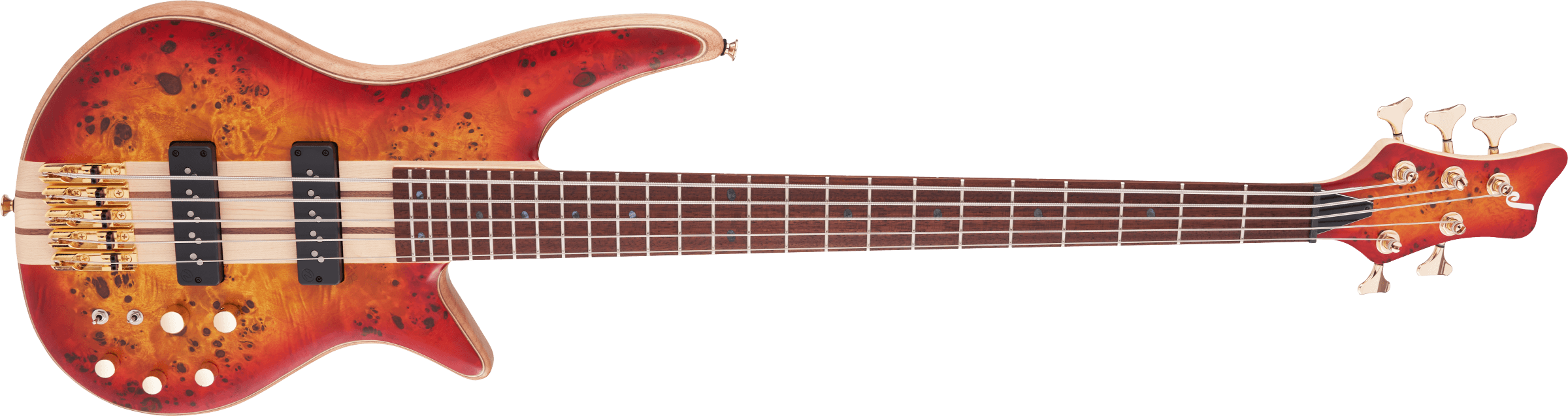 Pro Series Spectra Bass SBP V, Caramelized Jatoba Fingerboard, Transparent Cherry Burst追加画像 Pro Series Spectra Bass SBP V, Caramelized Jatoba Fingerboard, Transparent Cherry Burst追加画像