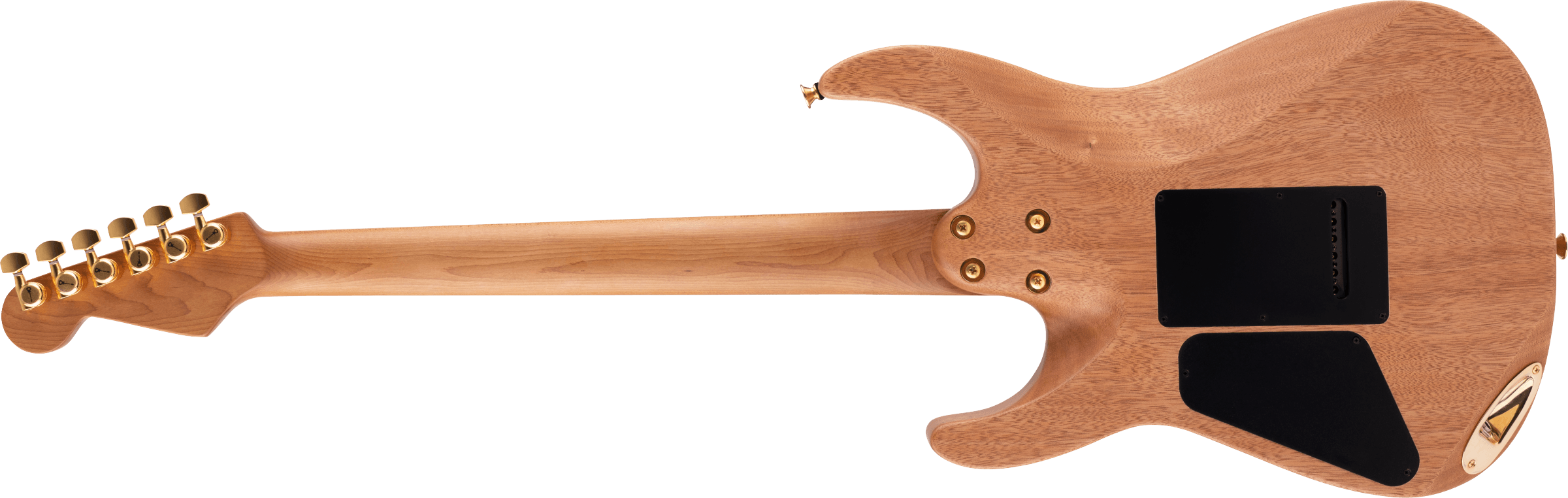 Pro-Mod DK24 HSH 2PT CM Mahogany, Caramelized Maple Fingerboard, Natural背面画像 Pro-Mod DK24 HSH 2PT CM Mahogany, Caramelized Maple Fingerboard, Natural背面画像