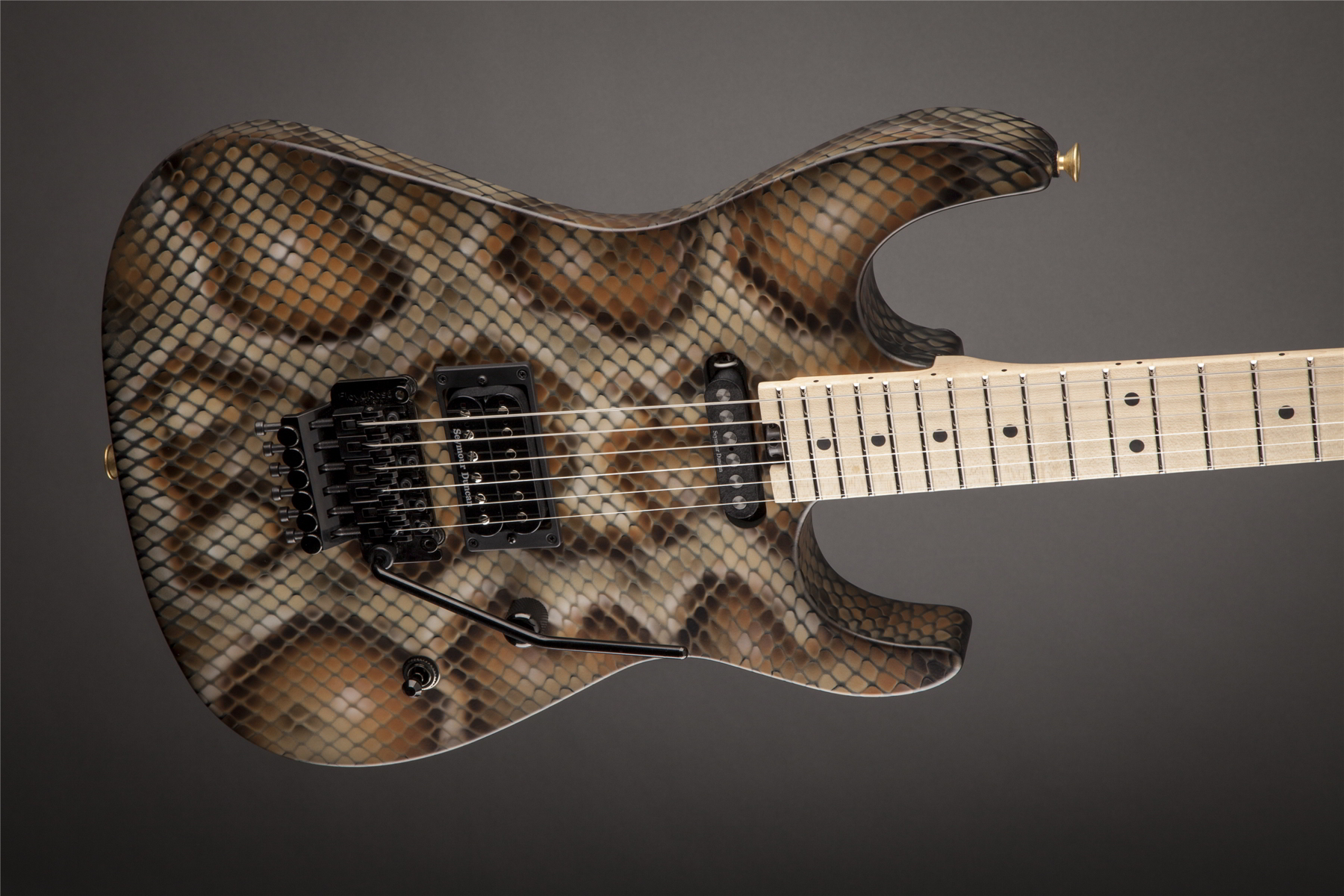 Warren DeMartini USA Signature Snake, Maple Fingerboard, Snakeskin追加画像 Warren DeMartini USA Signature Snake, Maple Fingerboard, Snakeskin追加画像