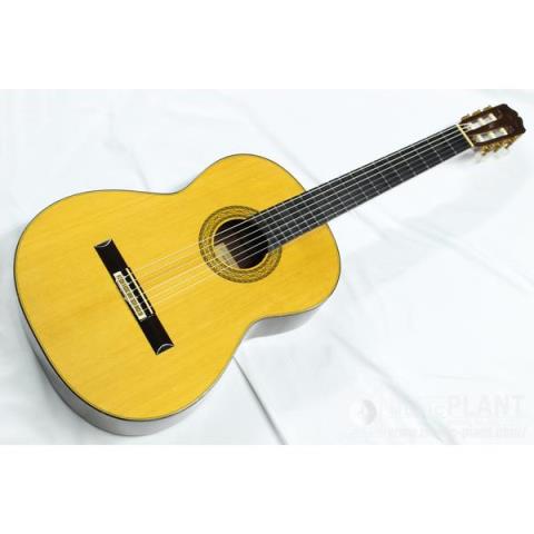 Takamine-クラシックギター
NO.10