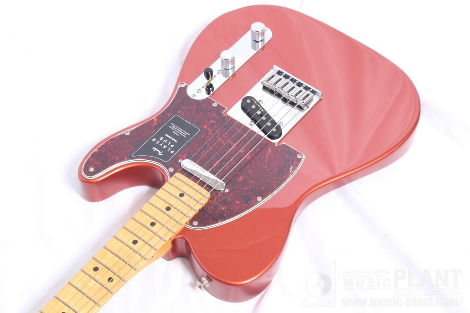 Player Plus Telecaster, Maple Fingerboard, Aged Candy Apple Red追加画像