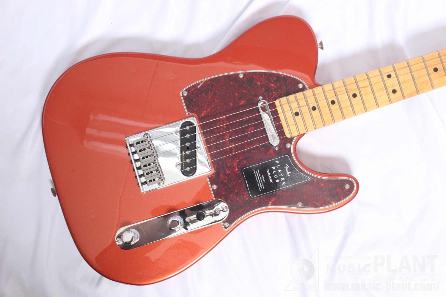 Player Plus Telecaster, Maple Fingerboard, Aged Candy Apple Red追加画像 Player Plus Telecaster, Maple Fingerboard, Aged Candy Apple Red追加画像
