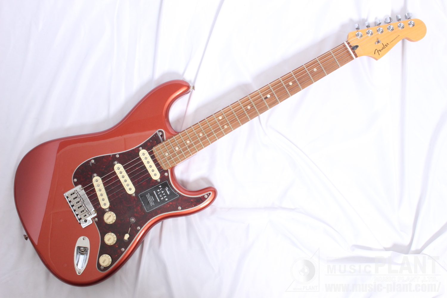 Plus　Fender　Pau　Stratocaster,　Player　MUSIC　Plusシリーズ　Aged　Apple　Red新品在庫状況をご確認ください　ストラトキャスターPlayer　Ferro　Fingerboard,　Candy　PLANT　WEBSHOP