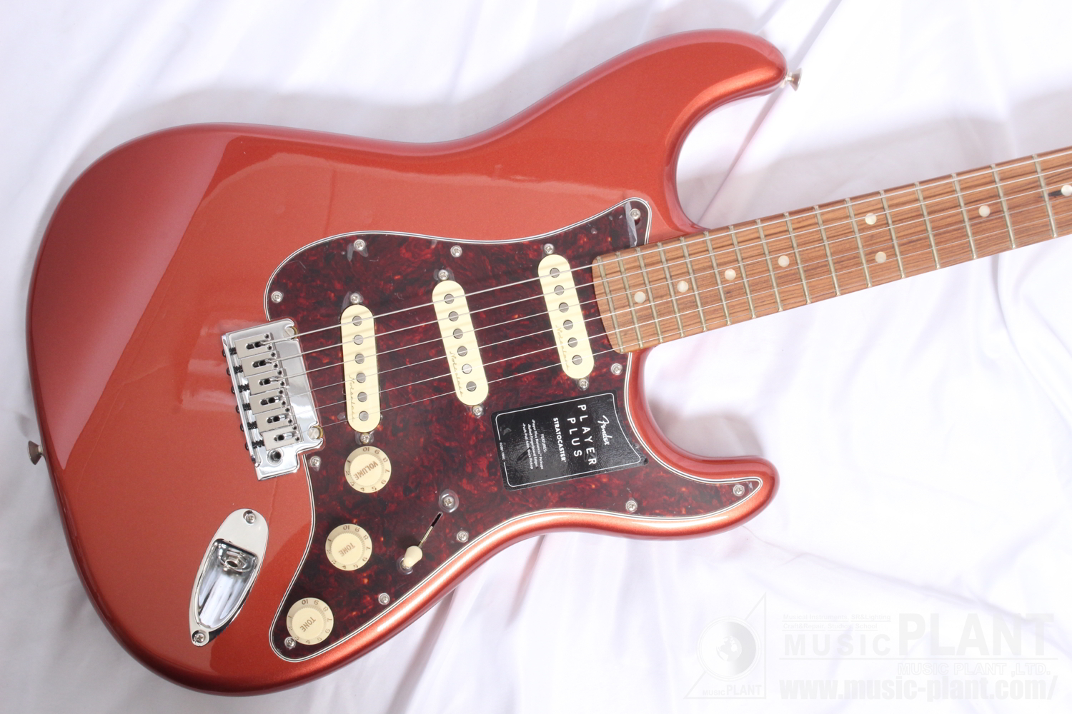 Player Plus Stratocaster, Pau Ferro Fingerboard, Aged Candy Apple Red追加画像 Player Plus Stratocaster, Pau Ferro Fingerboard, Aged Candy Apple Red追加画像